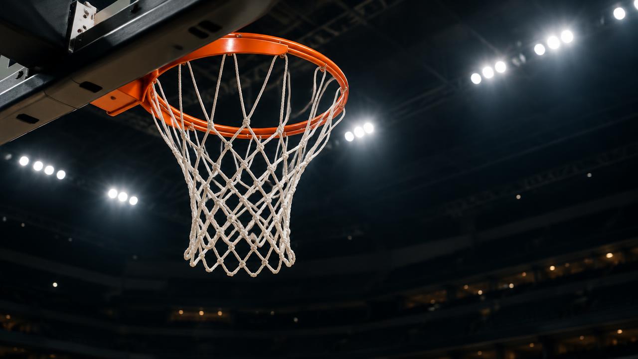 Basket : photographie générique illustrant cet article de démonstration